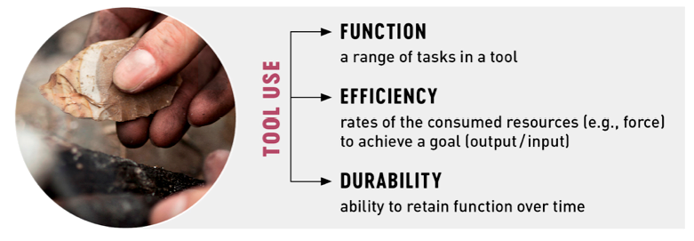 Principles of tool use