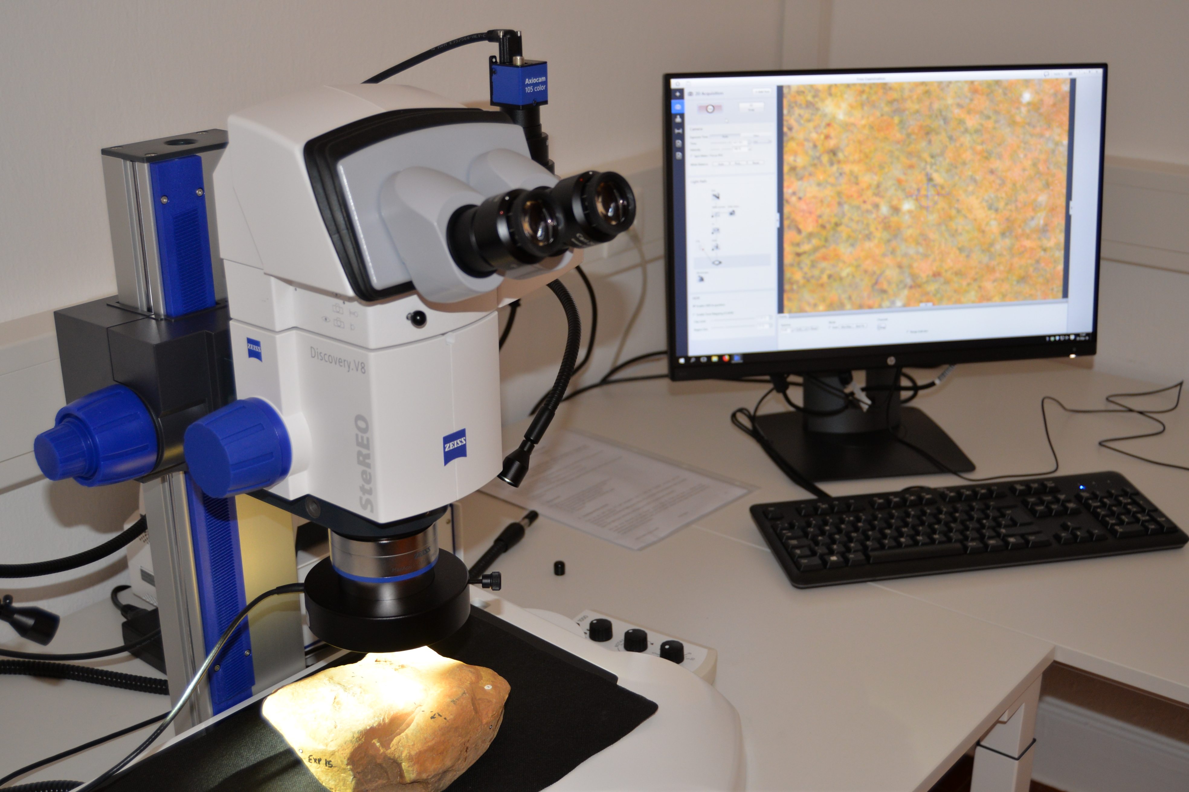 Stereo microscope